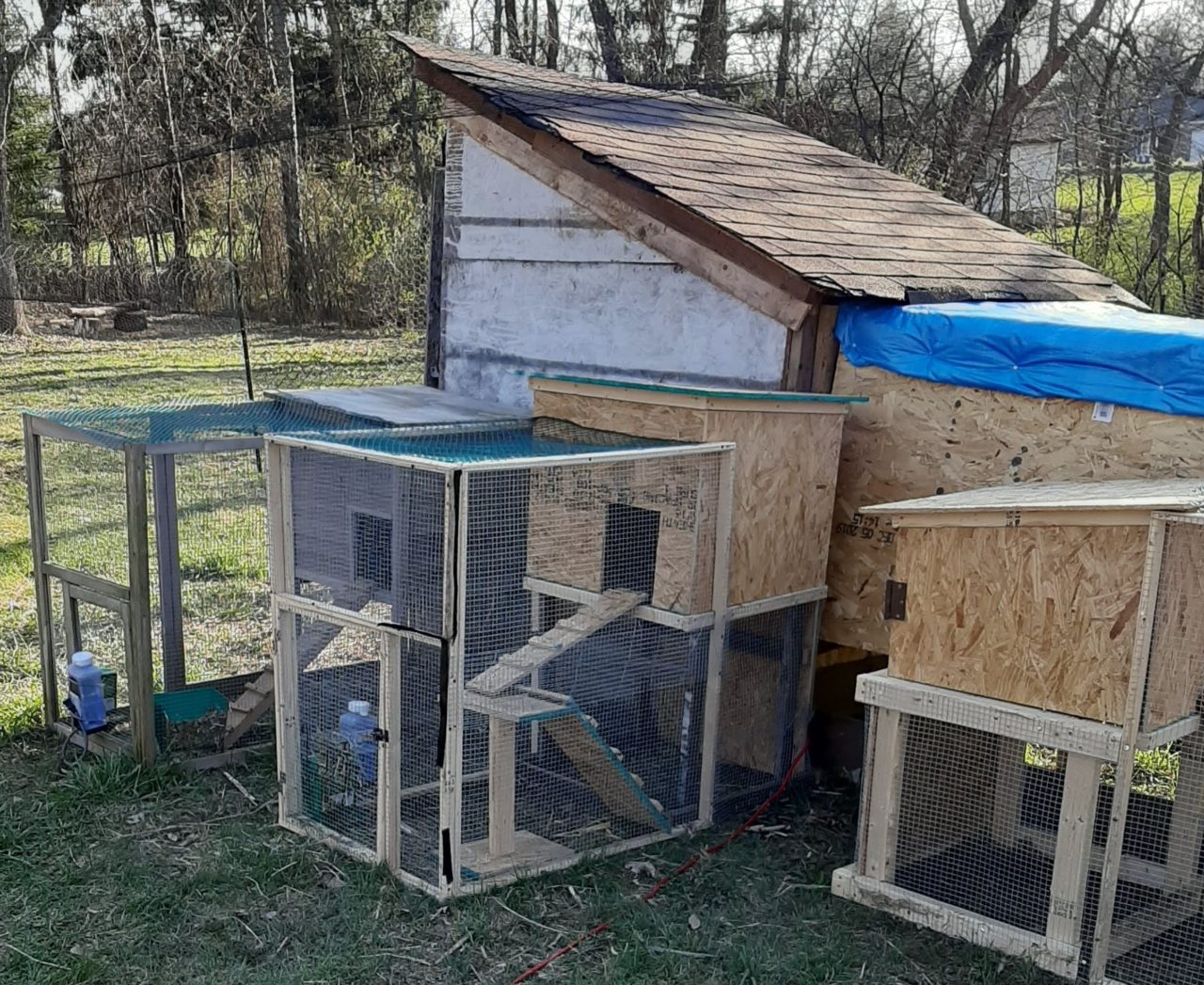 Our Homesteading Journey – April 2020 Update - GoodPointGrandma