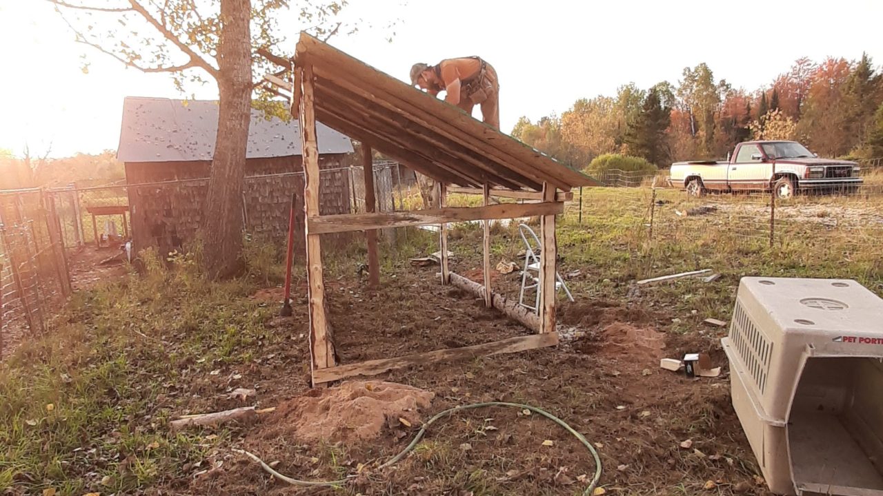 Our Homesteading Journey - October 2021 Update - GoodPointGrandma